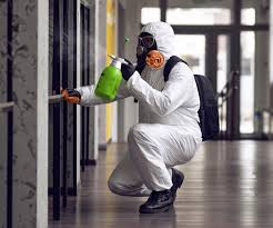 Why You Should Choose Our Mold Remediation Services in Akwesasne, NY