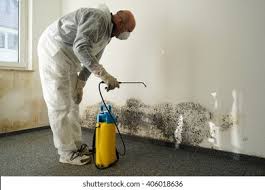 Trusted Akwesasne, NY Mold Removal Experts